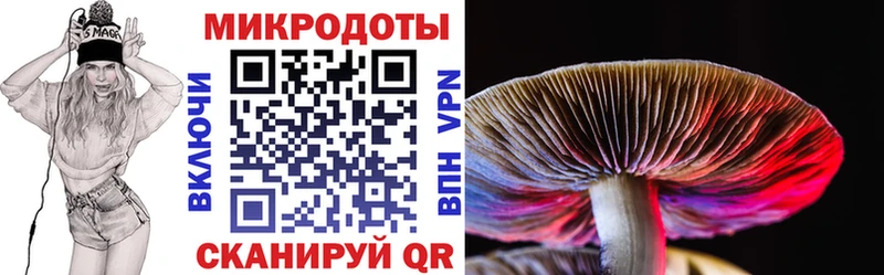 как найти   Гурьевск  Псилоцибиновые грибы ЛСД 
